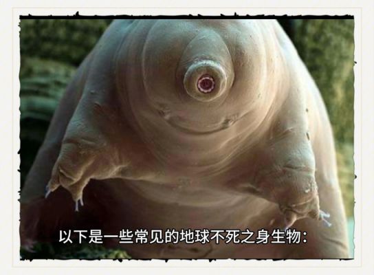 世界前十恐怖照片?世界前十恐怖照片的由来?