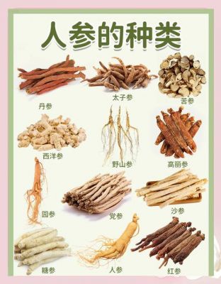 世界上最大的人参?最值钱的人参16亿?