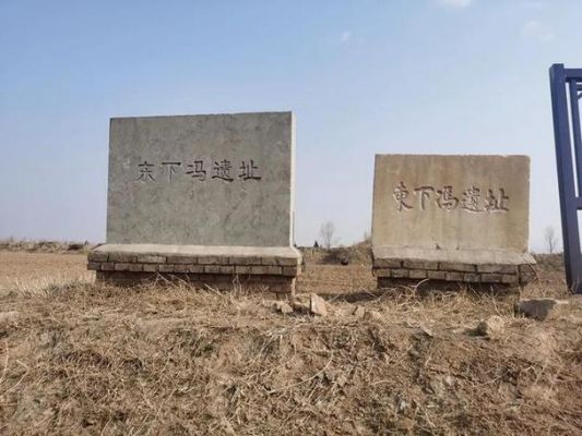 东下冯文化是什么文化,东下冯文化属于什么文化?