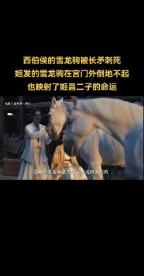 周武王姬发是怎么死的,周武王姬发的儿子叫什么