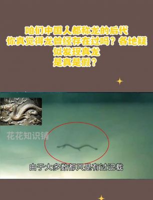 卫星拍到的真龙凤凰,6个真实拍到的恐龙?