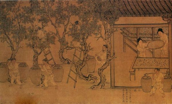人教版初中历史典故?初中课本历史故事?