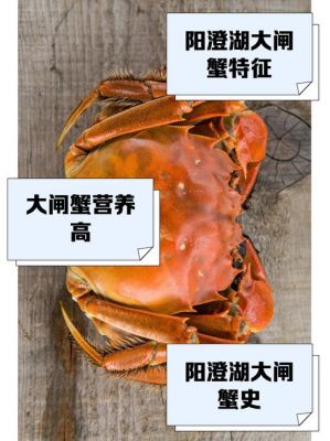 螃蟹壳上的历史典故?螃蟹壳上图案的传说?