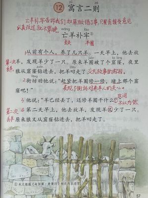 亡羊补牢是什么意思?亡羊补牢是什么意思这个故事?