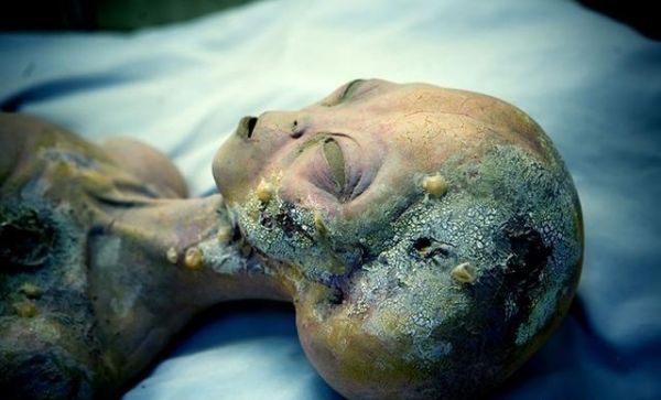 ufo之谜?ufo之谜探之探索?