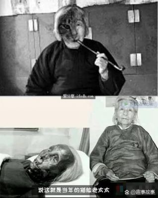 猫脸老太太被击毙照片,猫脸老太事件真相?