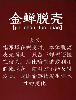 金蝉脱壳历史典故,金蝉脱壳历史典故50字