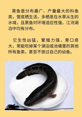 黑鱼的历史典故,黑鱼的历史典故?