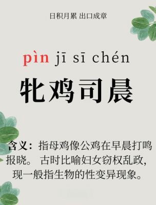 成语牝鸡司晨的主人公是谁,成语牝鸡司晨是什么意思