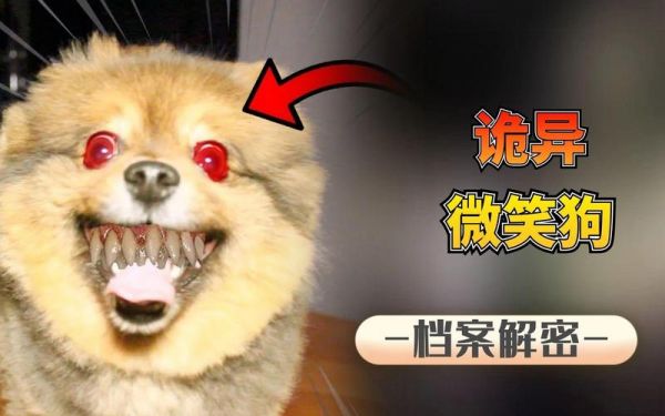 微笑狗吓人的原理,微笑狗很恐怖吗