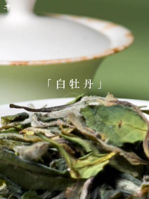 白牡丹的历史典故,白牡丹茶的传说故事?