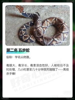 世界前十毒王第一名,世界前十毒王?