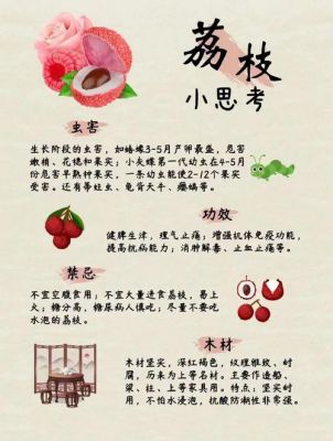 荔枝历史典故,荔枝历史典故有哪些