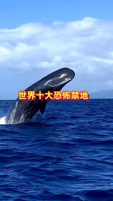 72个看懂才恐怖图片?看懂才恐怖的灵异照片?