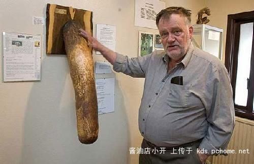 非洲象人族的,非洲象人族的性功能特点是什么?