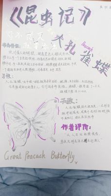 人给家足的主人公是谁?家给人足文言文翻译?