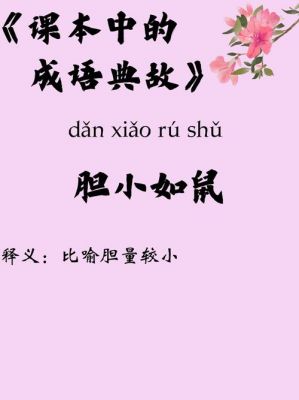 胆小如鼠的历史典故,胆小如鼠的故事和寓意