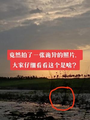 看似正常却恐怖的照片,看着不恐怖但是很恐怖的照片