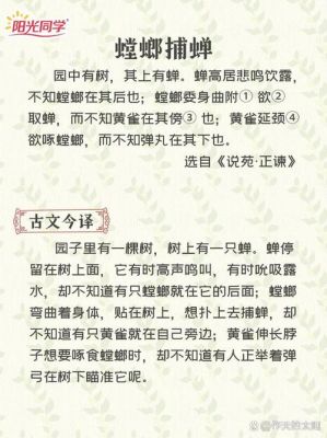 螳螂捕蝉是什么意思,螳螂捕蝉是什么意思又是什么生肖