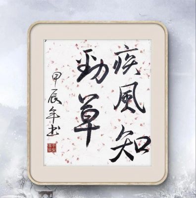 疾风劲草的主人公是谁?疾风劲草带来的体验?