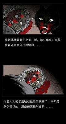 1995年猫脸老太太事件,1995年猫脸老太太之谜?