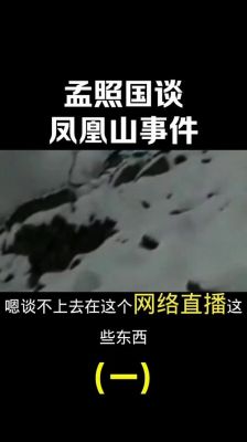 孟照国事件最新进展,孟照国事件经典传奇视频?
