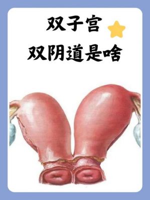 人类不敢公布的秘密?人类不敢公布的秘密科学家不敢公布的秘密?