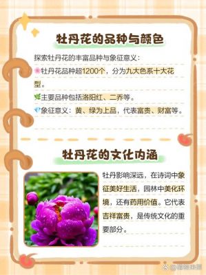 牡丹的历史典故,关于牡丹的历史