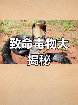 世界前十毒王,世界前十毒王植物