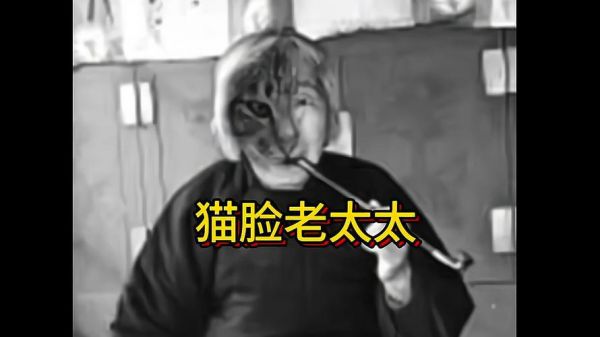 猫脸老太太事件真相,猫脸老太太真实故事发生在哪里
