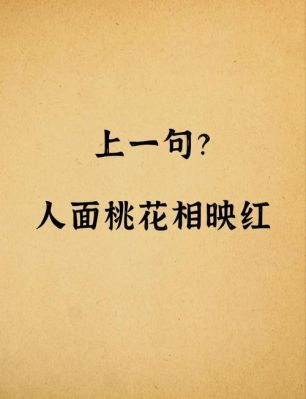人面桃花的主人公是谁,人面桃花的主人公是谁的 答案?