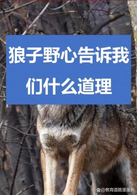 狼子野心有什么历史典故,狼子野心指的谁