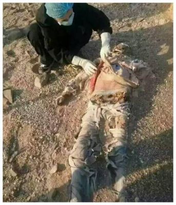 罗布泊神秘事件?罗布泊神秘事件视频?