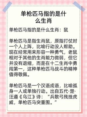 单枪匹马的历史典故?单枪匹马叫什么?