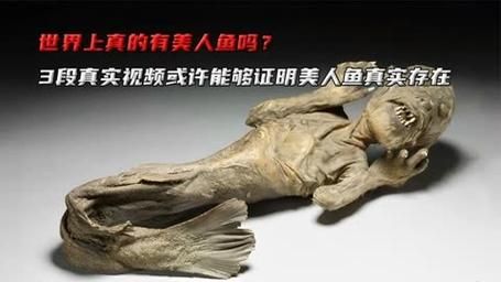 ufo外星人未解之谜,ufo外星人未解之谜在线观看