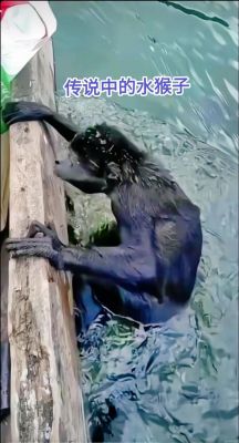 水猴子吃人图片,水猴子吃人图片脑袋