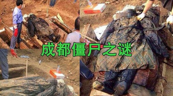 95成都僵尸事件真的吗,95年成都僵尸事件揭秘可怕慎看?