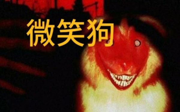 微笑狗原图,微笑狗原图高清?