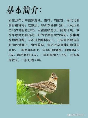 荷花铁雀历史典故?荷花铁雀历史典故有哪些?