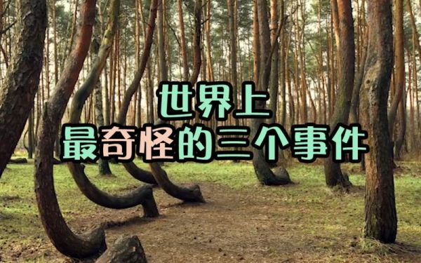 世界奇闻异事,世界奇闻异事集锦
