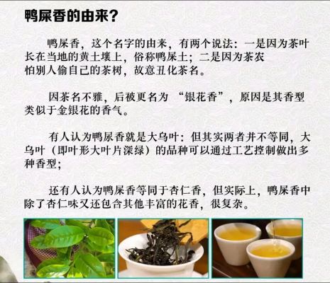 乌岽单丛的历史典故,乌岽单丛茶简介