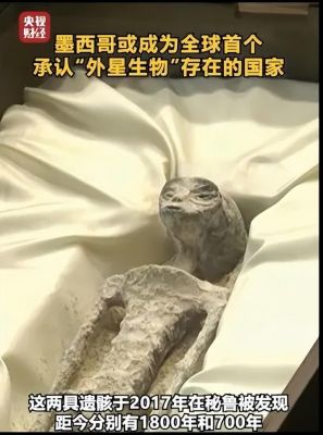中国唯一抓到的外星人,中国活捉外星人