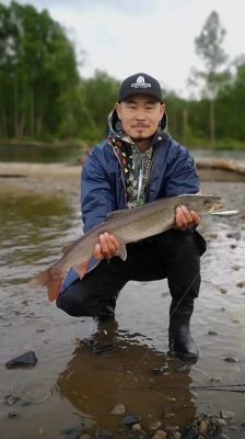 喀纳斯湖124米巨型哲罗鲑,喀纳斯湖巨型哲罗鲑死了?