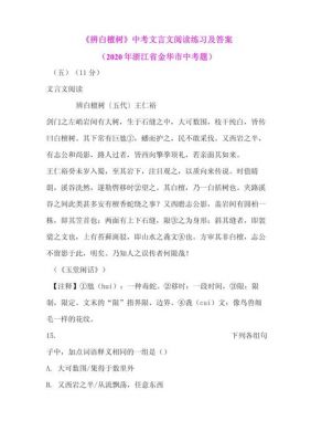 马航唯一幸存者刘海波视频,刘伯温预言马航370