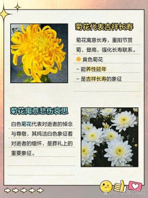 菊花茶的历史典故,菊花茶的传说?