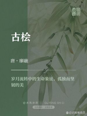 有关柏树的历史典故,柏树的由来