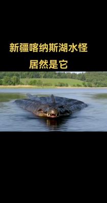 喀纳斯湖水怪真相大白,喀纳斯湖水怪的真相?