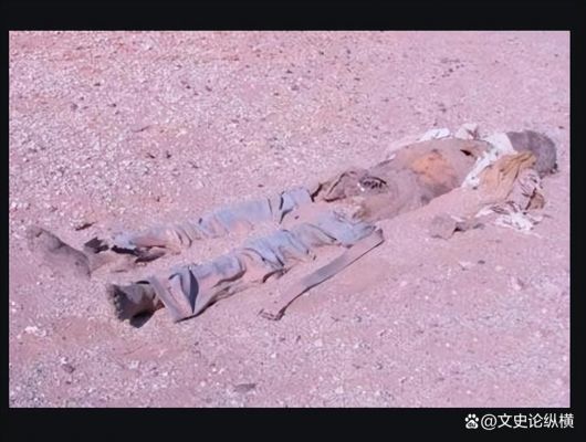 双鱼玉佩事件百度百科,双鱼玉佩真实事件原因
