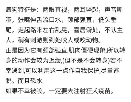 疯狗乱咬人的历史典故,疯狗乱咬人的历史典故是什么