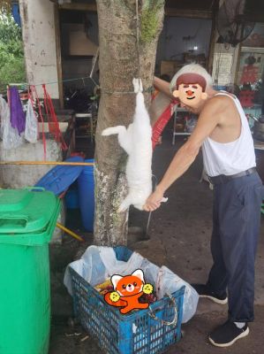 十只兔子原版吓死了多少人,十只兔子有多恐怖